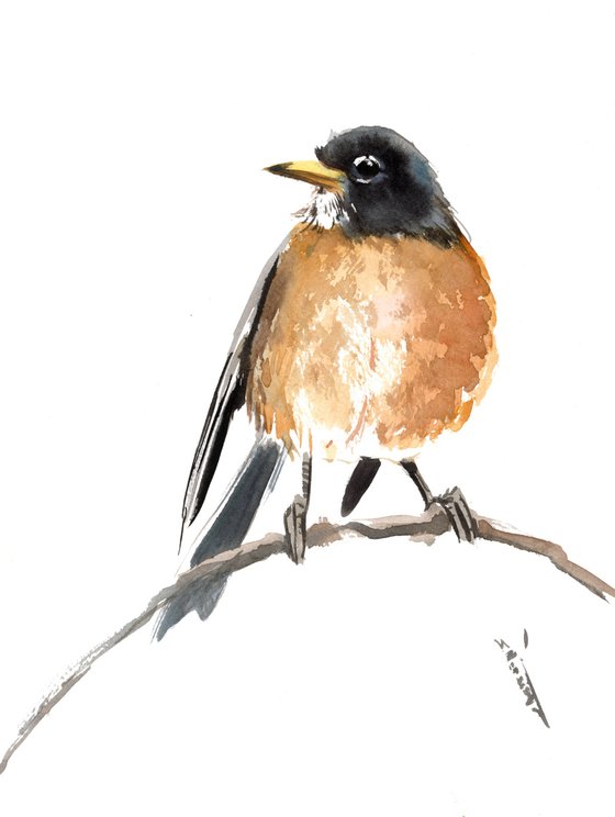 American Robin Bird Art