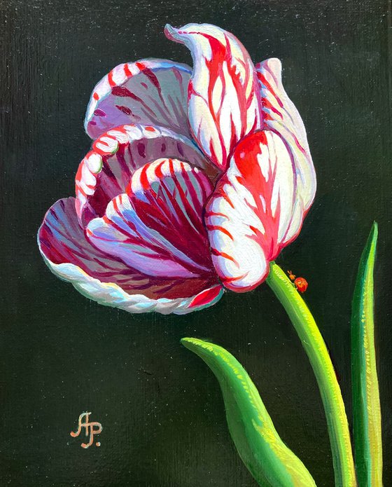 Tulip and ladybug
