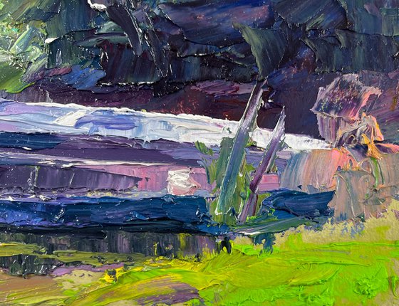 The River and the Forest