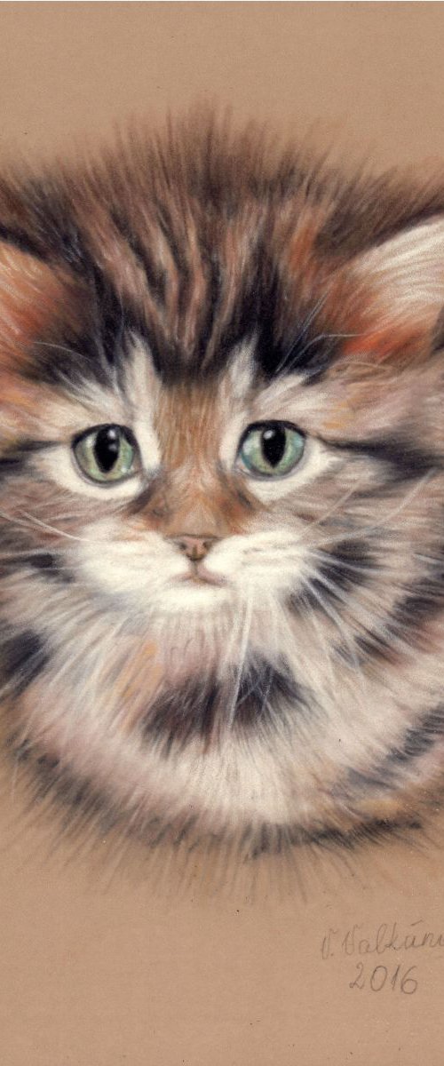 Cute Kitten by Vanda Valkuniene