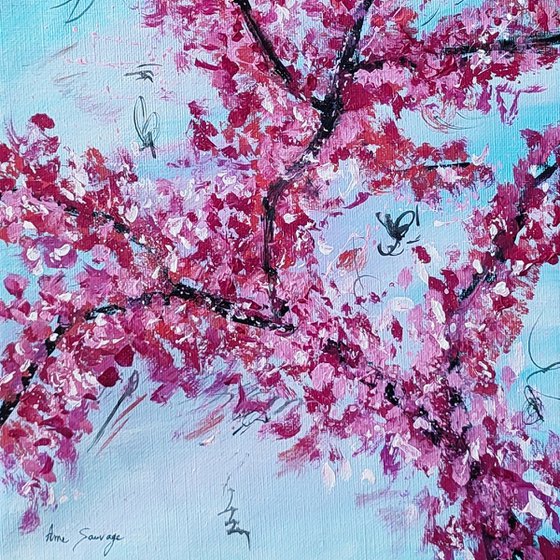 Les fleurs du cerisier