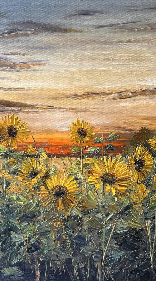 Sunflowers by Sunset by Kimberley  Harris