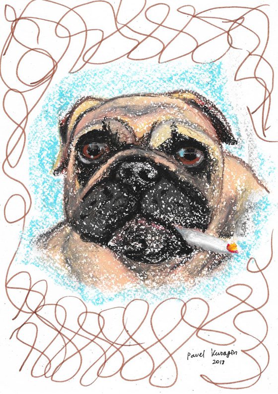 Pug with cigarette