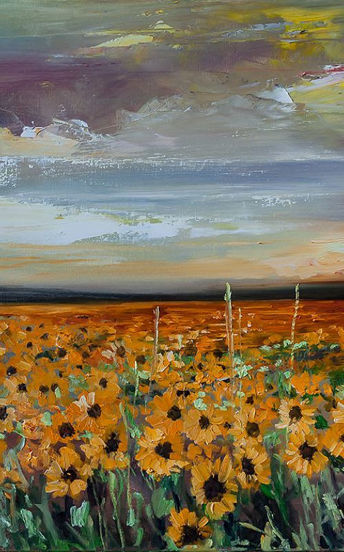 'Sunflower field after storm' by Ewa Czarniecka
