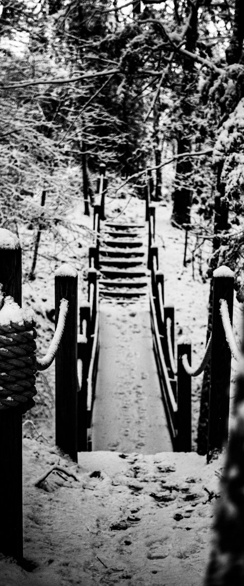 The Weight of Silence by David Huntzinger