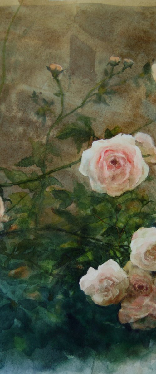 Roses and Stones by Olga Beliaeva Watercolour