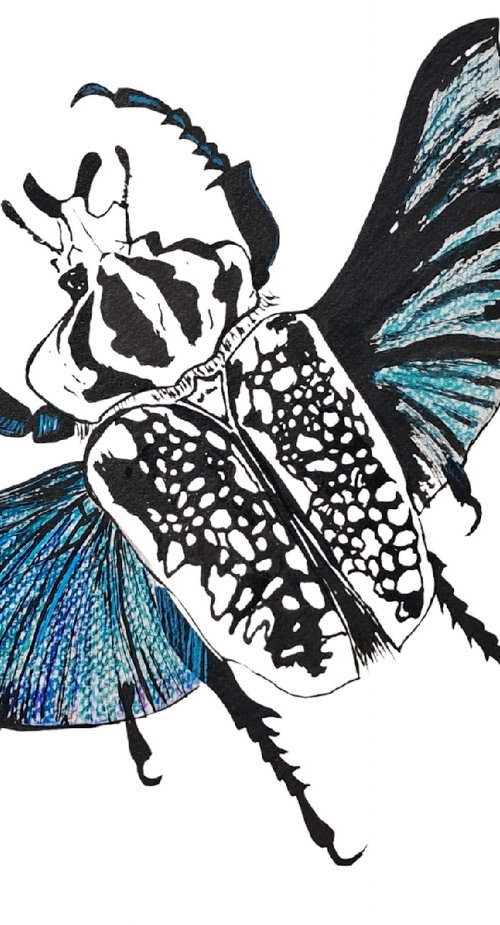 Goliath beetle. Insects wings. Ink. Pancil. Mixed-media by Yuliia Sharapova