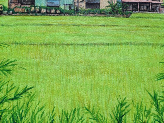 Watering Ricefields at Dawn, Yilan