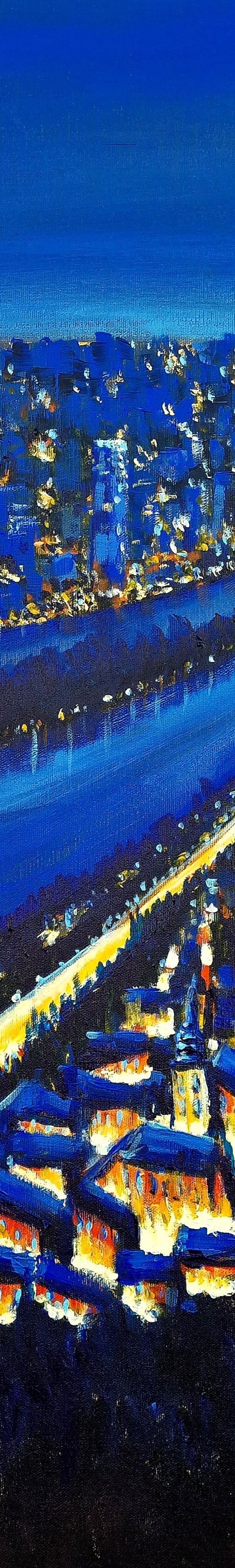 Night over Vienna by Danijela Dan