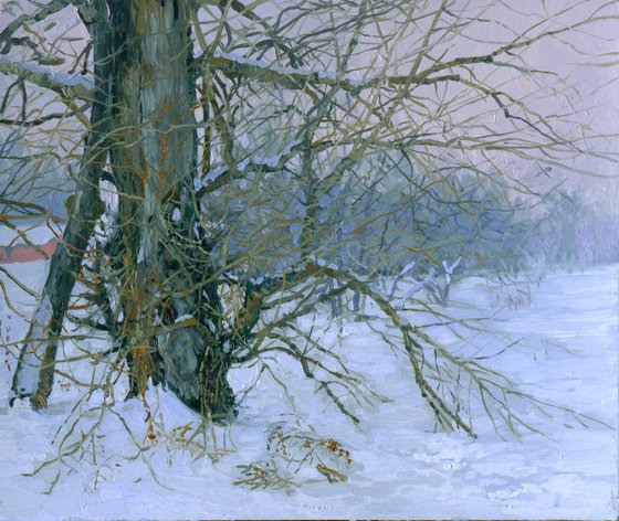 Winter
