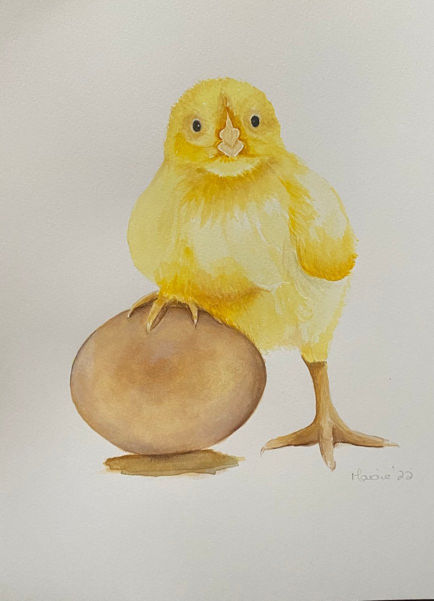 Chick with egg by Maxine Taylor
