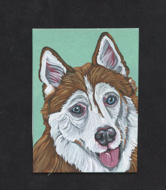 ACEO ATC Original Miniature Painting Husky Pet Dog Art-Carla Smale