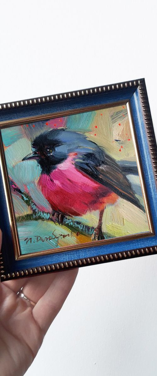 Pink Robin bird by Nataly Derevyanko