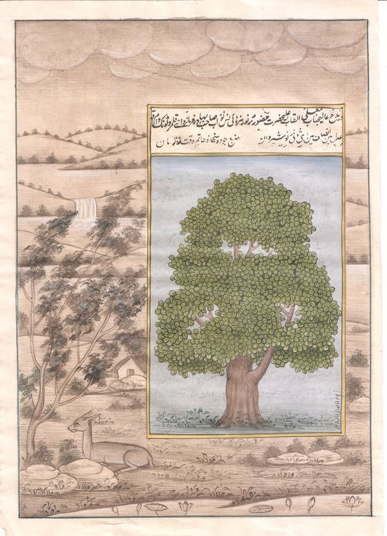 Royal Banyan Tree on Antique Paper