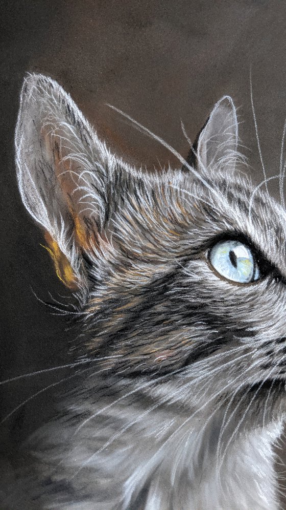Cats Eyes VIII  (Original Painting)