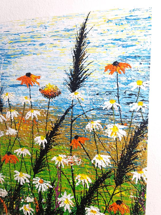 Daisy magic meadow