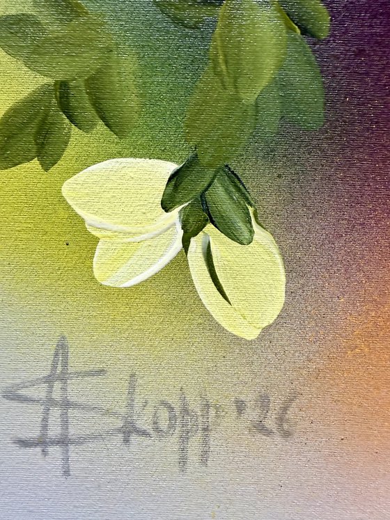 Between Light and Bloom