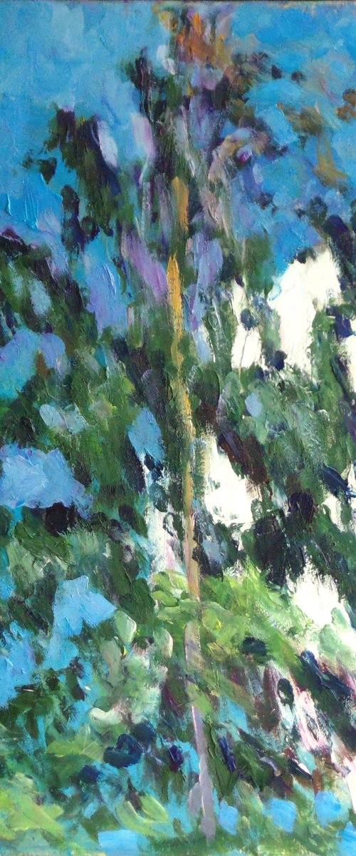 A birch. Oil on MDF. 25 x 35 cm. by Alexander Shvyrkov