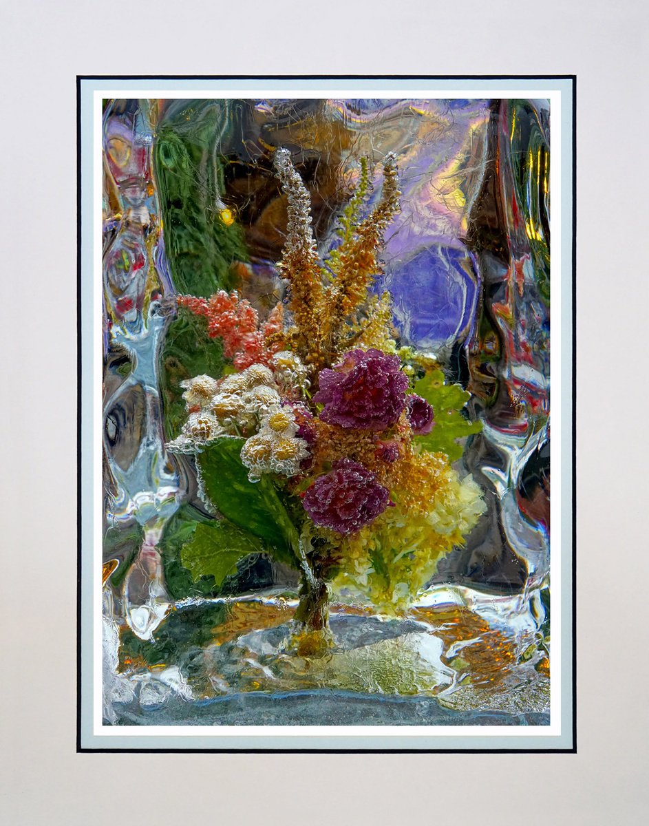 Expressive Still Life Photograph By Robin Clarke, 14 X 11", Frozen Flowers, Original Artwork