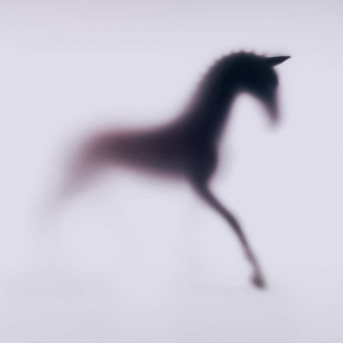 Abstract Animal Photograph By Sven Pfrommer, 39 X 39", Wild Lens - Horse Xxii, Original Artwork