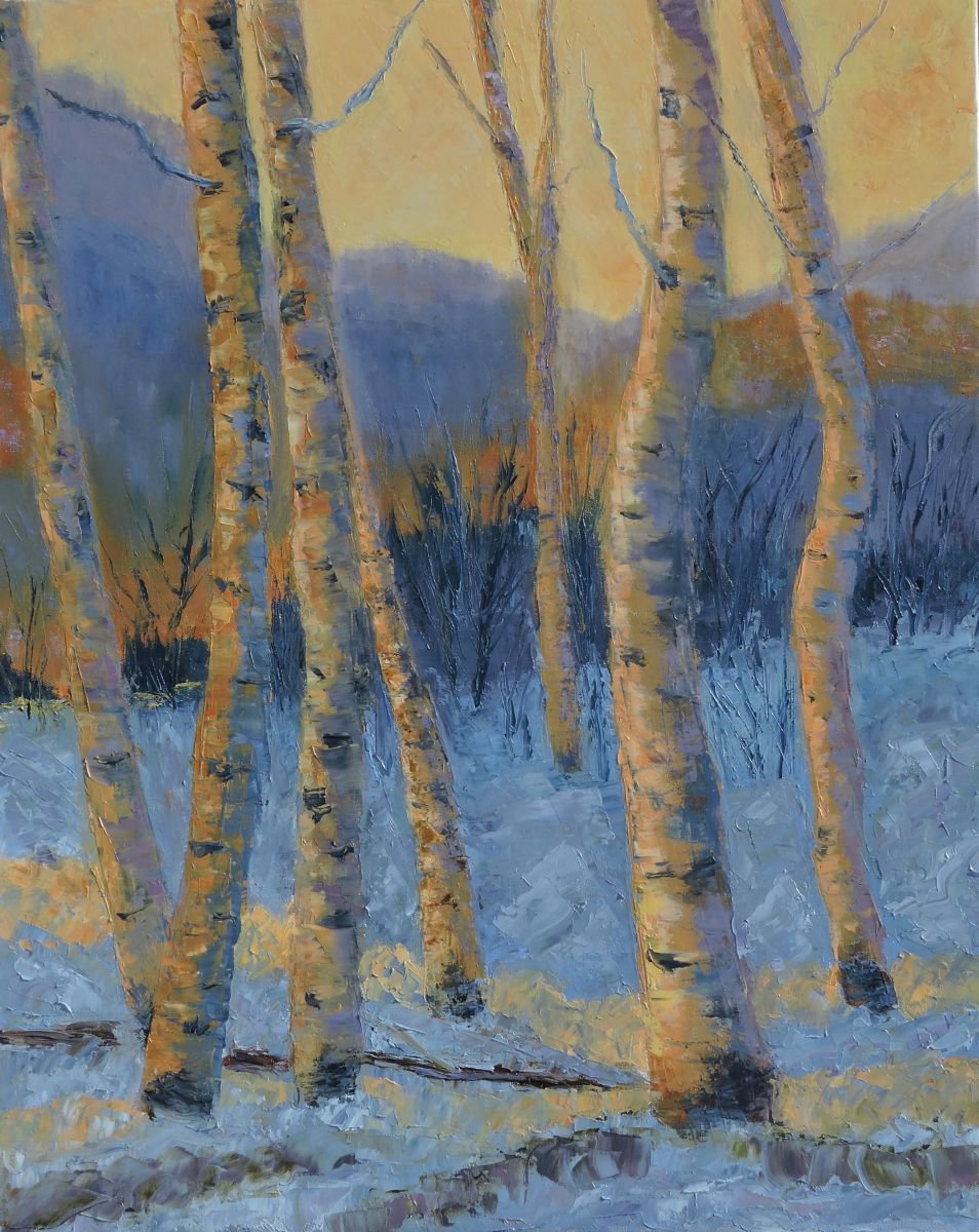Aspen trees at Sundown by Linda Mooney