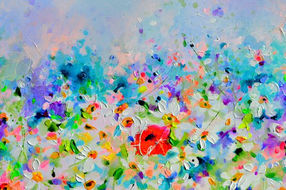 White Daisy and Red Poppy Field