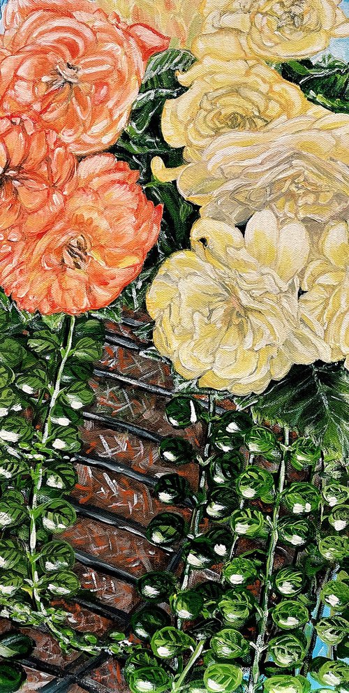 Splendid - Tuberose Begonia by HSIN LIN