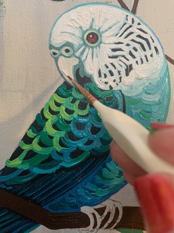 Budgie Beauties: Bubbles
