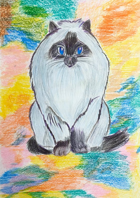 Siamese cat