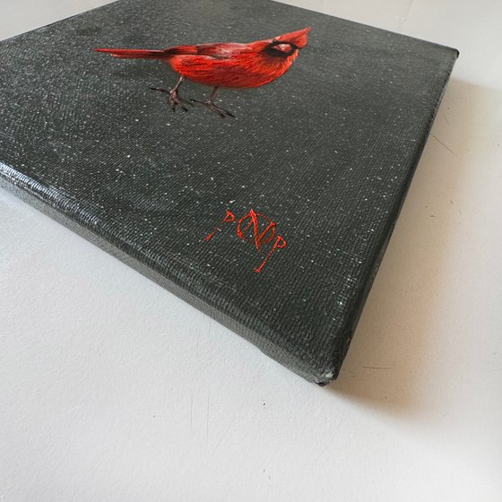 Cardinal reminder