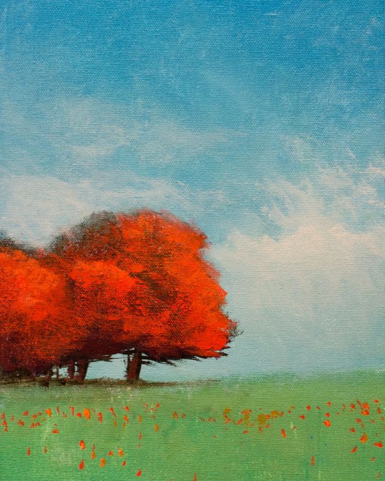 Red Trees Blue Sky 4212