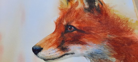 Original Fox Watercolour UK