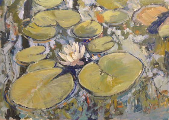 Water lilies II