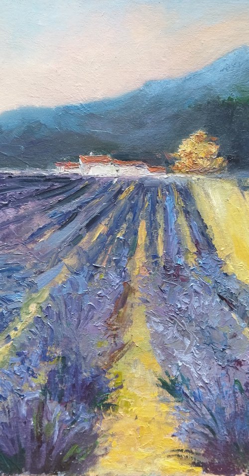 French Lavender Fields by Ann Krasikova