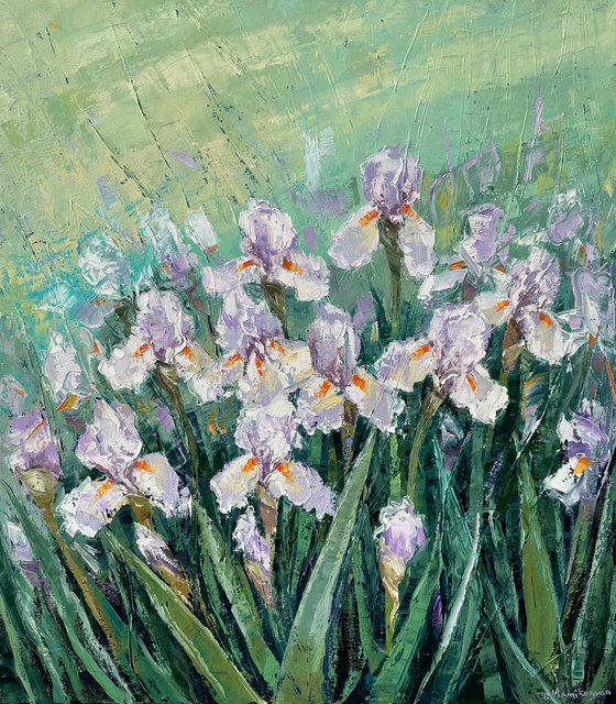 Irises 70x80cm