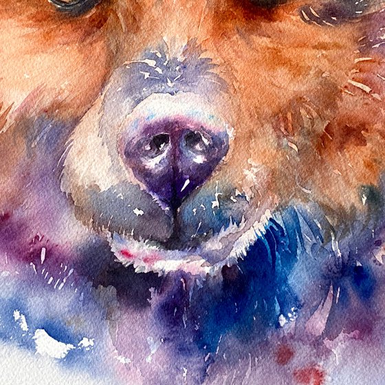 Bear Borden
