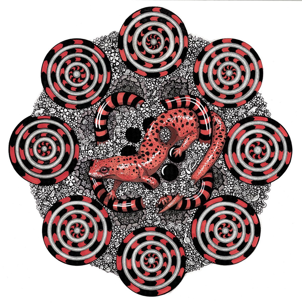 Animal Ink Drawing By Terri Smith, 28 X 28", Eye Of Newt, Original Artwork