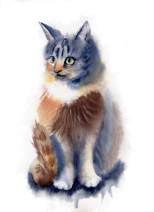 Original Watercolor Cat Painting by Olga Shefranov (Tchefranov)