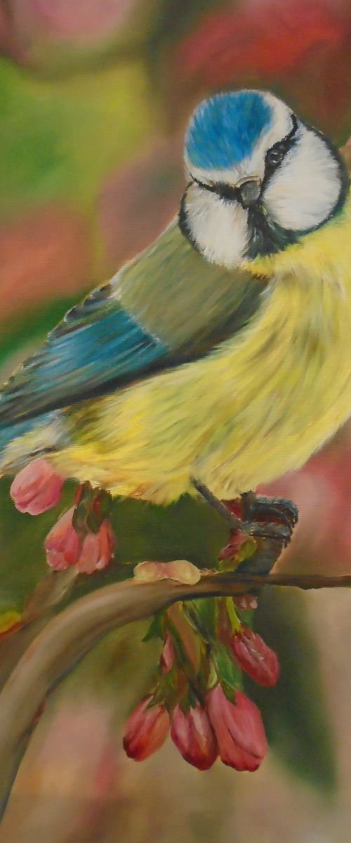 Bird of Paradise I by Timea  Valsami