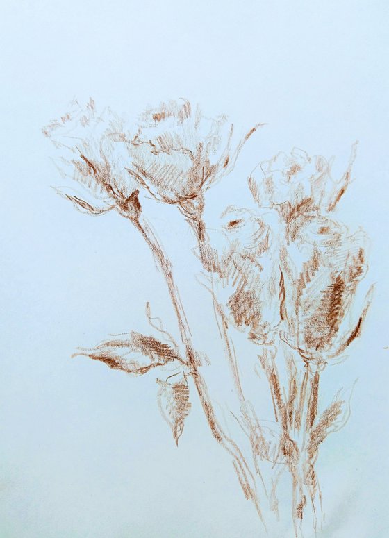 Roses #4. Original pencil drawing