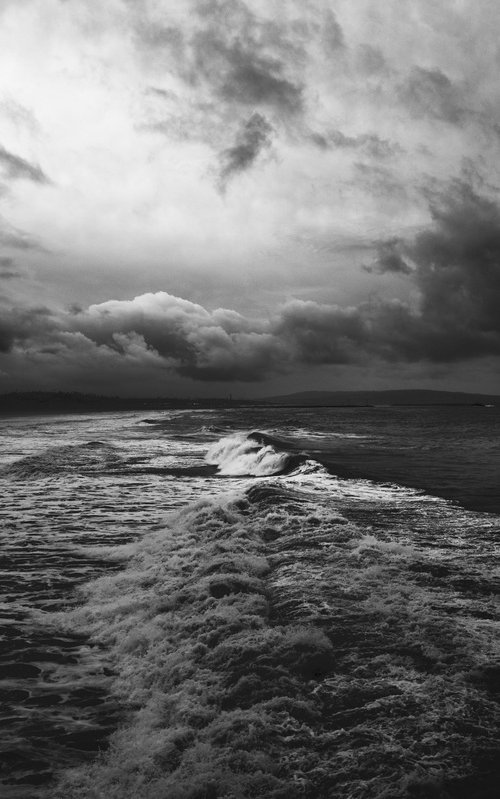 FIRST LIGHT by Harv Greenberg