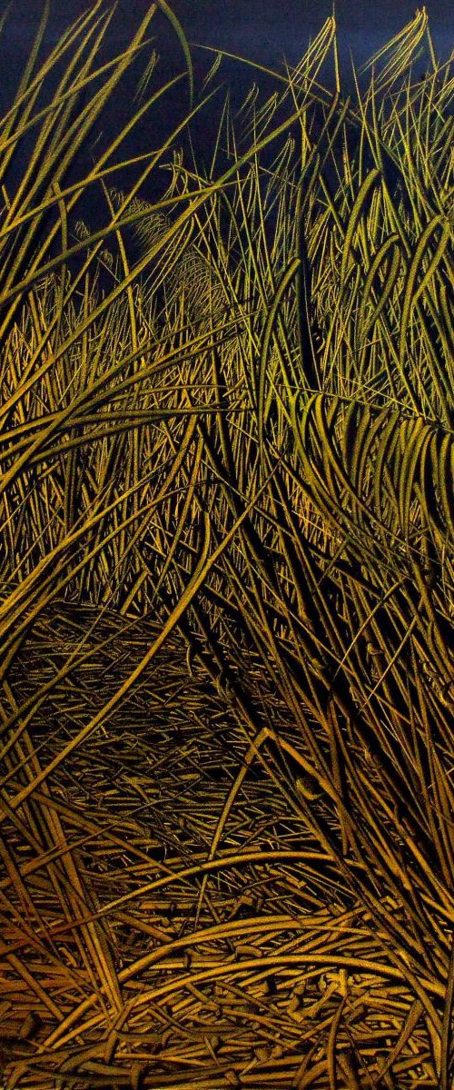 the path 2 by antonio maggio carluccio