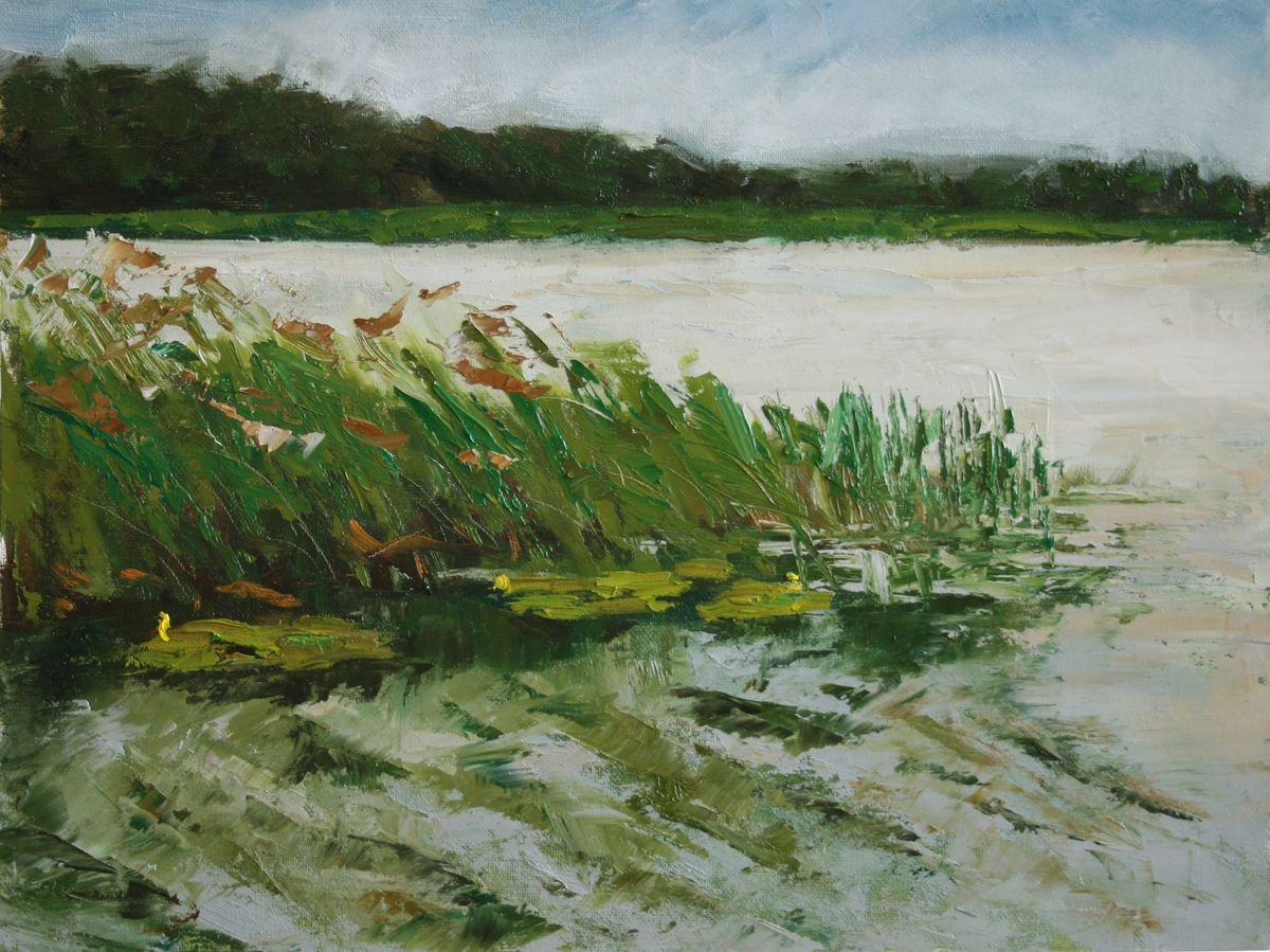 Beautiful Lake. Lilaste 1 By Salana Art / Svetlana Samovarova, 16 X 12, Artwork For Sale On Artfinder