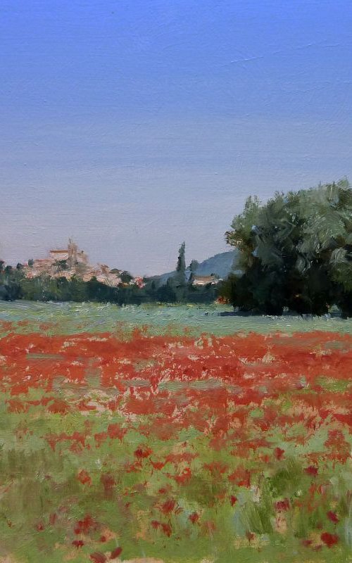 Poppy Field by Pascal Giroud