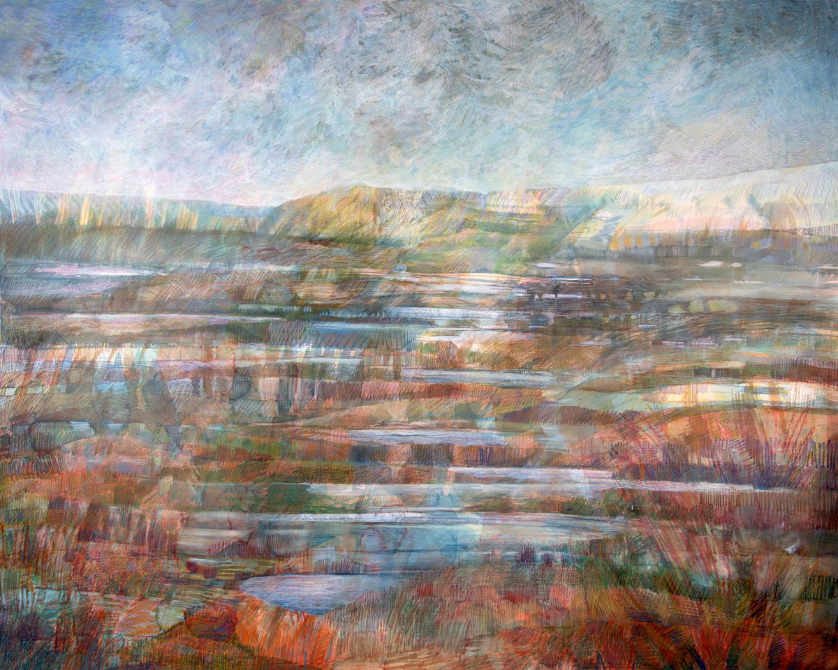 Abstract Landscape Pencil Drawing By Elizabeth Anne Fox, 60 X 48, Watershed: Sphagnum Country, Original Artwork