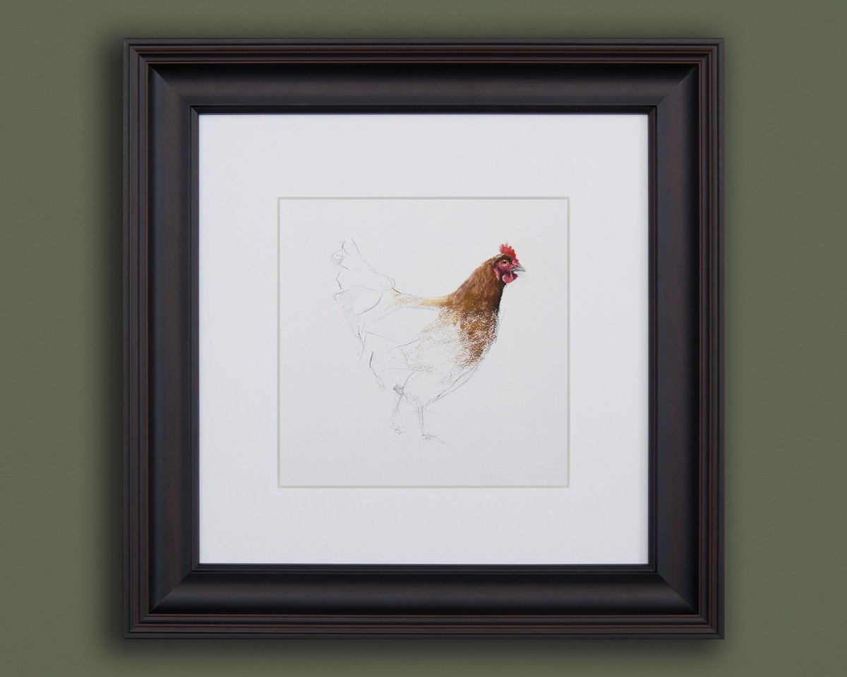 Chicken Sketch by Matt Foy