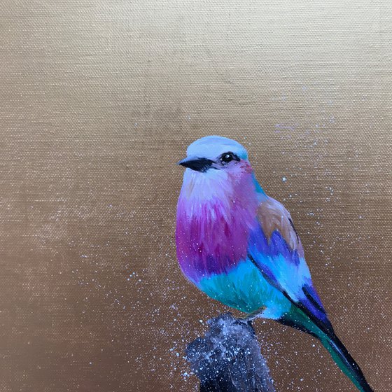 Lilac Breasted Roller