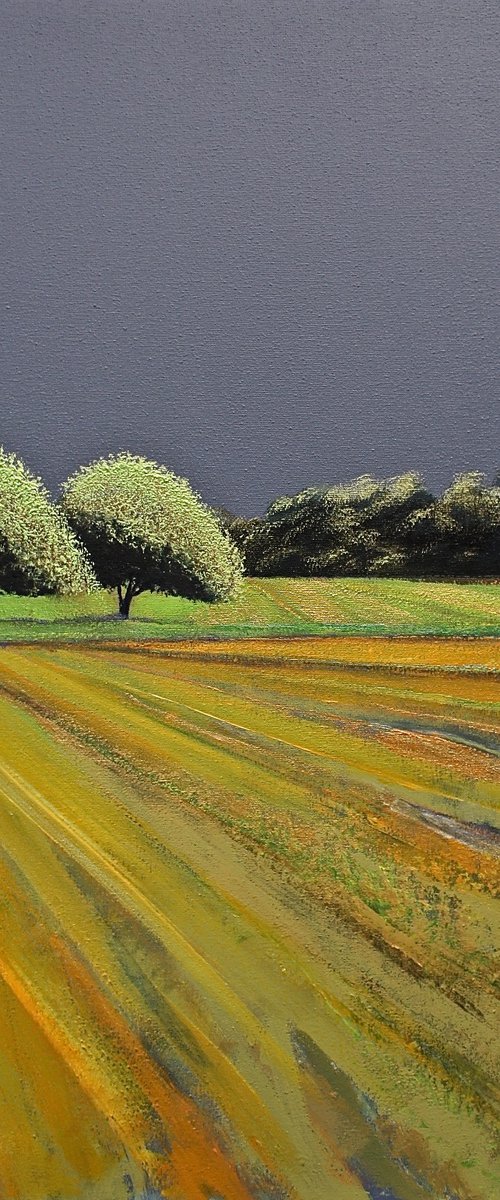 Solaris Dreamfields XVI by Simon Jones