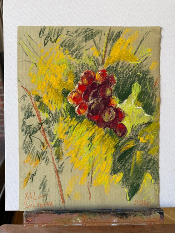 Grapes in Sunlight  plein-air
