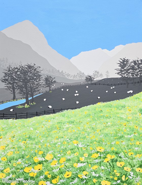 Patterdale Meadow